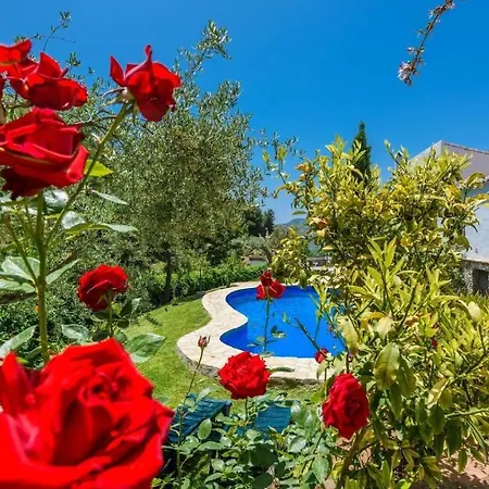 El Acebuchal - Casa Rosa By Ruralidays Holiday home